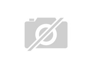 SMS Chat-Moderator gesucht
